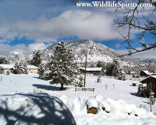 Click Picture to send as an  E-PostCard 25k 500x400